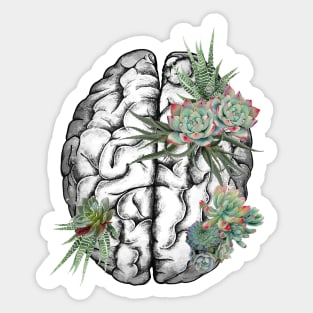 Brain human anatomy,succulents plants, mental Sticker